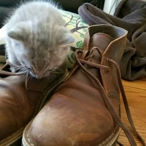 Meet your Posher, Eric